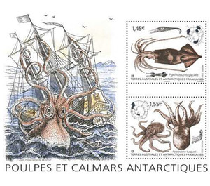 Antarctic Squid and Octopus - French Australian and Antarctic Territories 2020