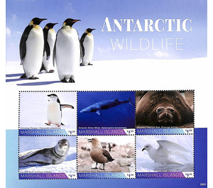 Antartic Wildlife - Micronesia / Marshall Islands 2020
