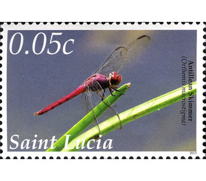 Antillean Skimmer - Caribbean / Saint Lucia 2013 - 0.05