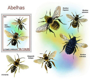 Apis mellifera - Central Africa / Sao Tome and Principe 2021