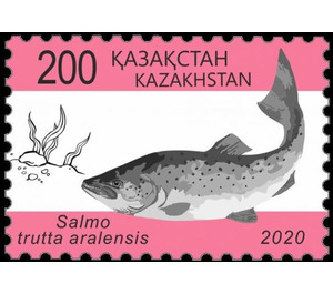 Aral Trout (Salmo trutta aralensis) - Kazakhstan 2020 - 200