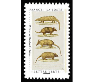 "Armadillos" by P Fitxer and Blanchard - France 2020