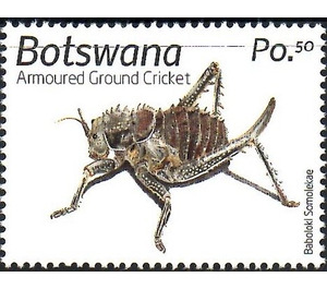 Armoured Ground Cricket - South Africa / Botswana 2019 - 0.50