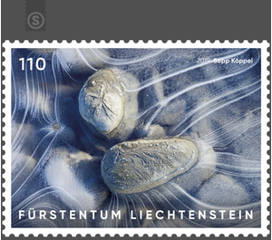 Artistic Photography: Ice - Stone Islands  - Liechtenstein 2019 - 110 Rappen