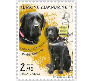 Assistance Dog (Canis lupus familiaris) - Turkey 2020 - 2.40