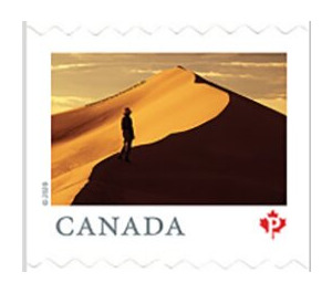 Athabasca Sand Dunes Provincial Park, Saskatchewan - Canada 2020