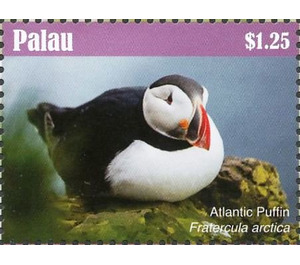 Atlantic Puffin    Fratercula arctica - Micronesia / Palau 2018 - 1.25