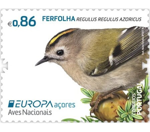 Azorean Goldcrest (Regulus regulus azoricus) - Portugal / Azores 2019 - 0.86