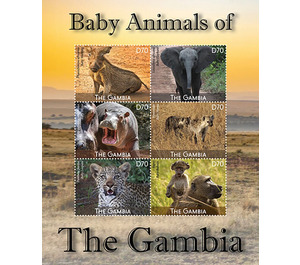 Baby Animals - West Africa / Gambia 2021