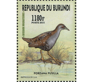 Baillon's Crake (Porzana pusilla) - East Africa / Burundi 2016