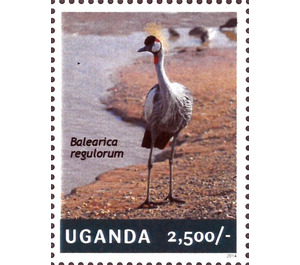Balearica regulorium - East Africa / Uganda 2014