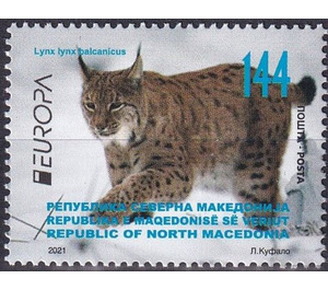 Balkan Lynx (Lynx lynx balcanicus) - Macedonia / North Macedonia 2021 - 144