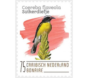 Bananaquit (Coereba flaveola) - Caribbean / Bonaire 2020 - 75