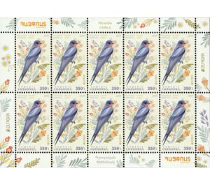 Barn Swallow (Hirundo rustica) - Armenia 2019