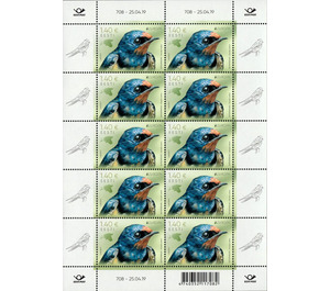 Barn Swallow (Hirundo rustica) - Estonia 2019