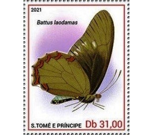 Battus laodamas - Central Africa / Sao Tome and Principe 2021