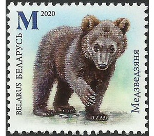 Bear Cub - Belarus 2020