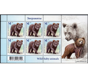Bear Cub (Ursus arctos) - Belarus 2020