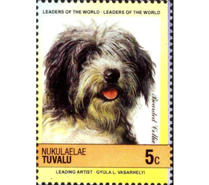 Bearded Collie (Canis lupus familiaris) - Polynesia / Tuvalu, Nukulaelae 1985