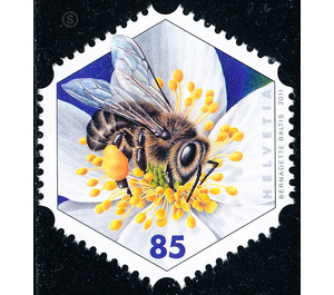 bee  - Switzerland 2011 - 85 Rappen