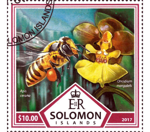 Bees and Orchids - Melanesia / Solomon Islands 2017 - 10