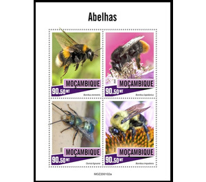 Bees - East Africa / Mozambique 2020