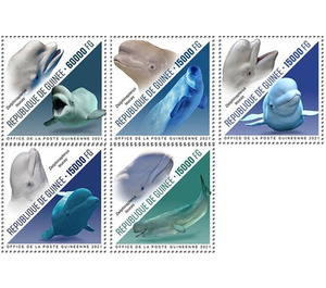 Beluga Whale (2021) - West Africa / Guinea 2021 Set