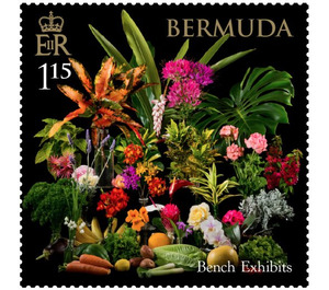Bench Exhibits - North America / Bermuda 2021 - 1.15