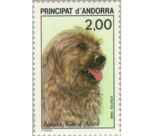 Berger des Pyrenees (Canis lupus familiaris)  - Andorra, French Administration 1988 - 2