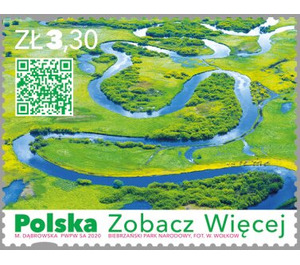 Biebrza National Park - Poland 2020 - 3.30