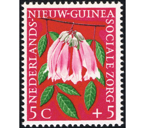 Bignonia - Melanesia / Netherlands New Guinea 1959