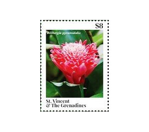 Billbergia pyramidalis - Caribbean / Saint Vincent and The Grenadines 2020