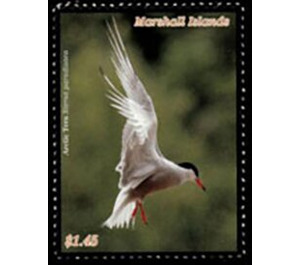 Bird - Micronesia / Marshall Islands 2020 - 1.65