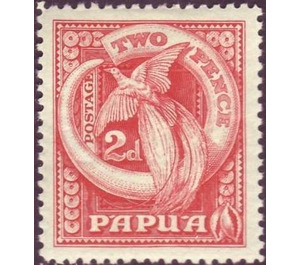 Bird of Paradise and Boar's Tusk - Melanesia / Papua 1932 - 2