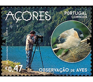 Bird watching on São Miguel - Portugal / Azores 2016 - 0.47
