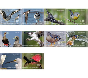 Birds 2019 - Caribbean / Sint Maarten 2019 Set