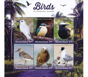 Birds - Micronesia / Marshall Islands 2019