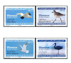 Birds of Banc d'Arguin National Park - West Africa / Mauritania 2011 Set