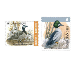 Birds of Buzin - Belgium 2020 Set