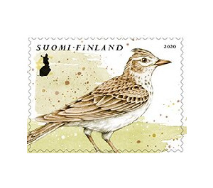 Birds of Spring - Finland 2020