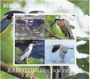 Birds of the World : Herons - Cook Islands, Rarotonga 2020