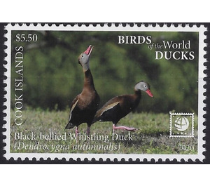 Black-Bellied Whistling Duck (Dendrocygna autumnalis) - Polynesia / Cook Islands 2020 - 5.50