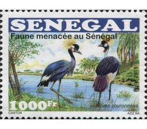 Black Crowned Crane (Balearica pavonina) - West Africa / Senegal 2015