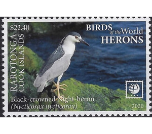 Black-Crowned Night Heron (Nycticorax nycticorax) - Cook Islands, Rarotonga 2020 - 22.40