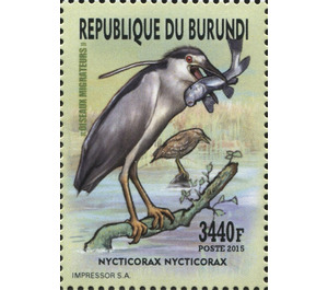 Black-crowned Night-Heron (Nycticorax nycticorax) - East Africa / Burundi 2016