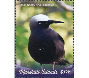Black Noddy (Anous minutus) - Micronesia / Marshall Islands 2019 - 1.50