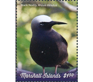 Black Noddy (Anous minutus) - Micronesia / Marshall Islands 2019 - 1.50