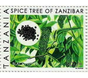 Black Pepper - East Africa / Tanzania 2018