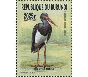 Black Stork (Ciconia nigra) - East Africa / Burundi 2016