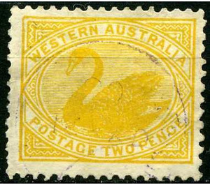 Black Swan (Cygnus atratus) - Western Australia 1903 - 2